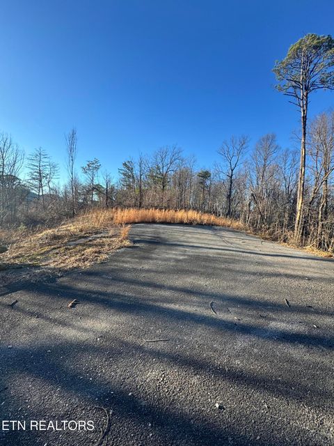 Tiny photo for 3361 Sugar Maple Loop Rd, Sevierville, TN 37862 (MLS # 1326250)