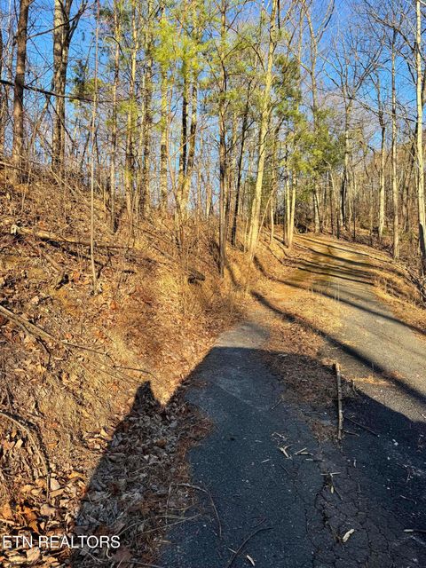 Tiny photo for 3361 Sugar Maple Loop Rd, Sevierville, TN 37862 (MLS # 1326250)