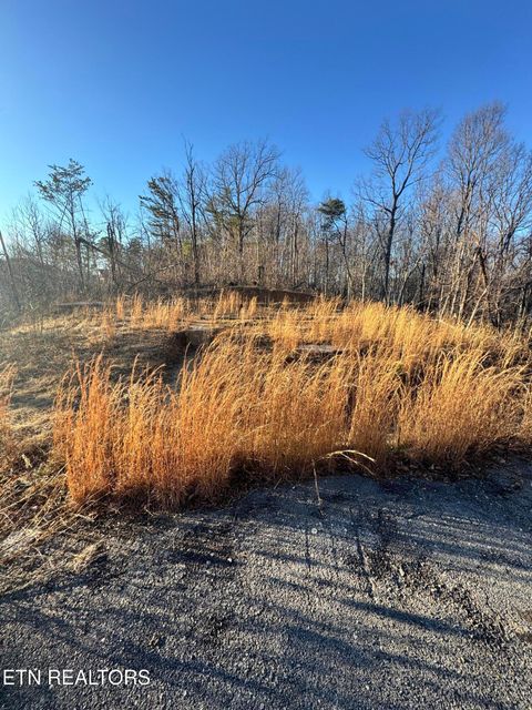 Tiny photo for 3361 Sugar Maple Loop Rd, Sevierville, TN 37862 (MLS # 1326250)