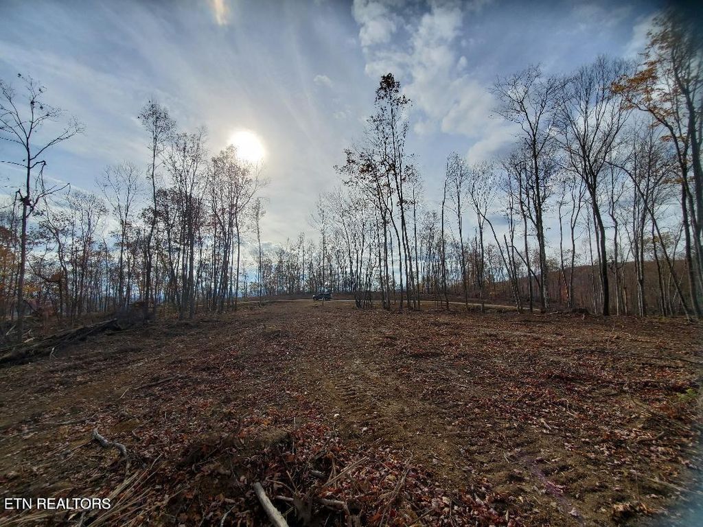 Photo of Bull Creek Rd S/0, Huntsville, TN 37756 (MLS # 1340107)