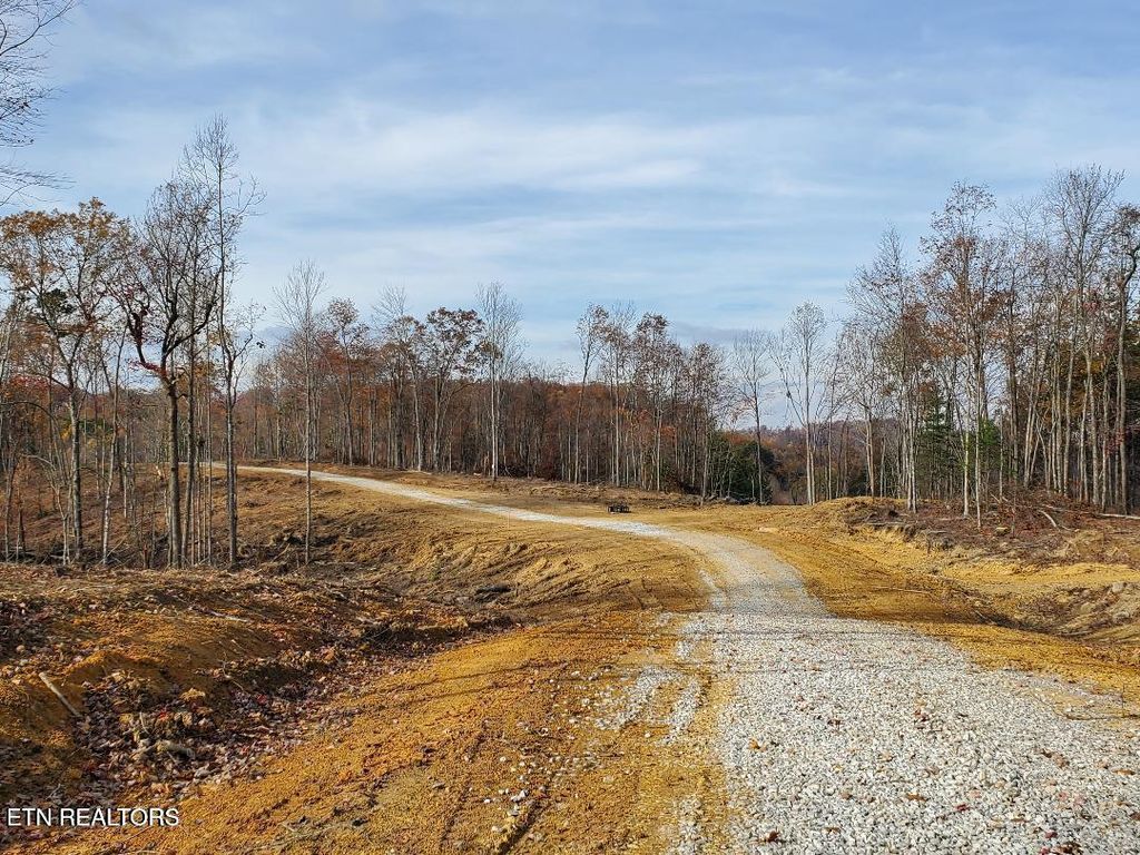 Photo of Bull Creek Rd S/0, Huntsville, TN 37756 (MLS # 1340107)