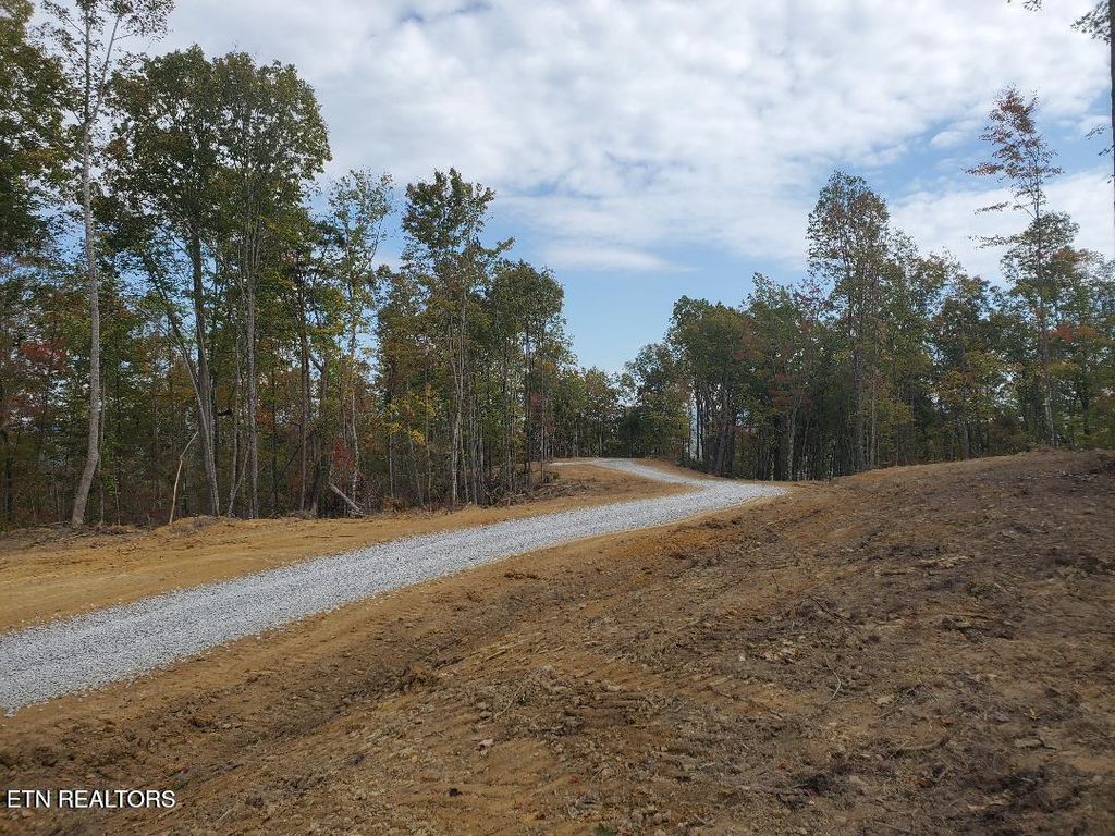 Photo of Bull Creek Rd S/0, Huntsville, TN 37756 (MLS # 1340107)
