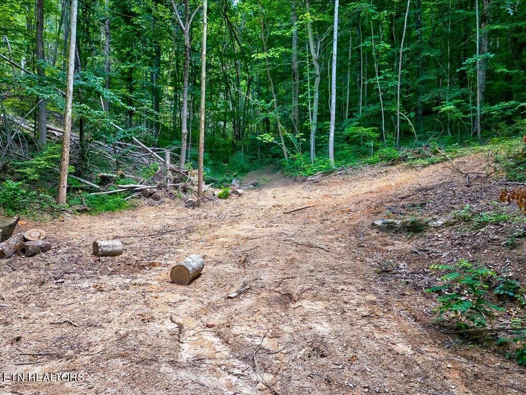 Photo of Merritt Rd, Washburn, TN 37888 (MLS # 1267462)