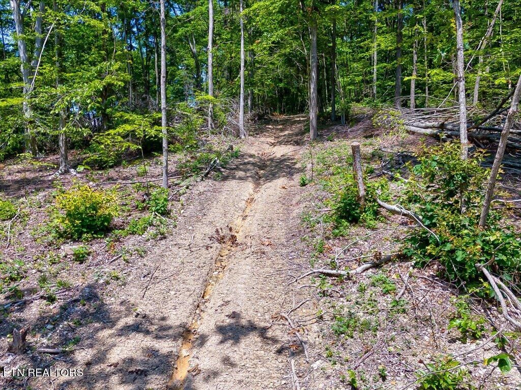 Photo of Merritt Rd, Washburn, TN 37888 (MLS # 1267462)