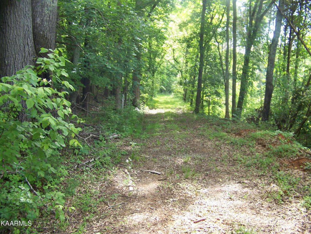 Photo of Miser Station Rd, Friendsville, TN 37737 (MLS # 1237270)