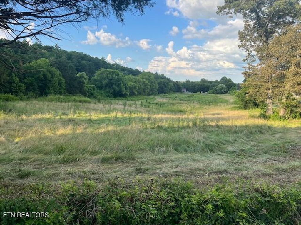 Photo of 3436 Little Dug Gap Rd, Louisville, TN 37777 (MLS # 1308828)