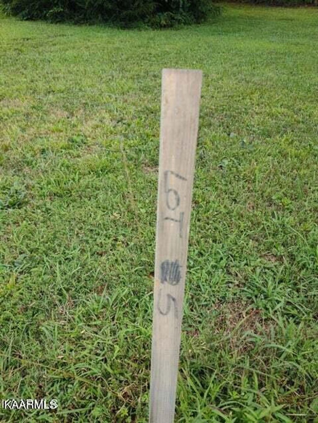 Photo of 145 Westwing Cave Rd, Townsend, TN 37882 (MLS # 1228920)