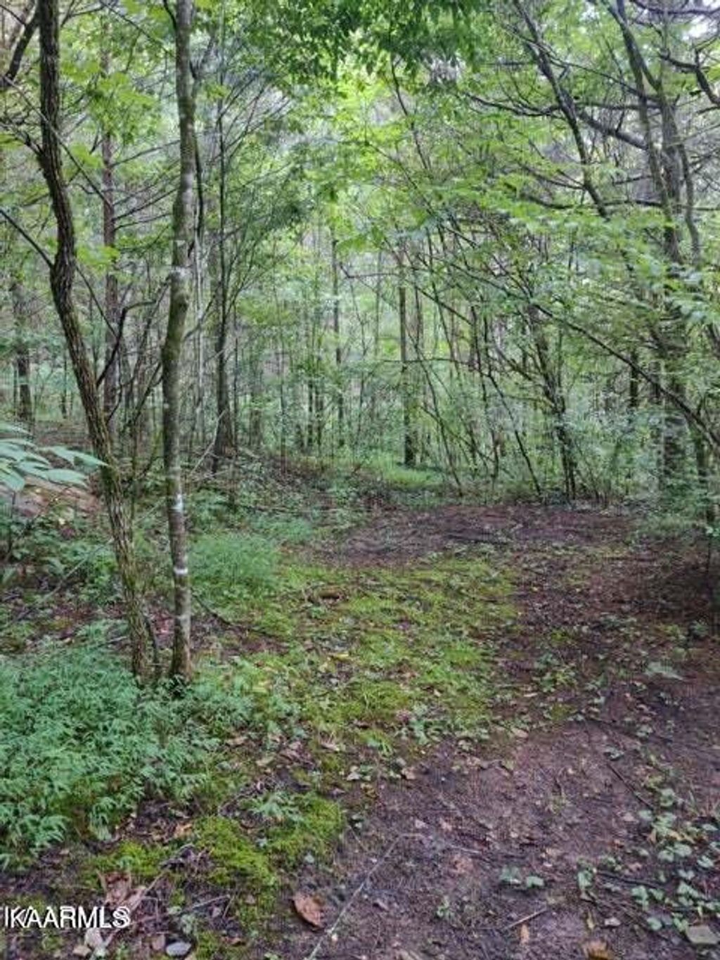 Photo of 145 Westwing Cave Rd, Townsend, TN 37882 (MLS # 1228920)