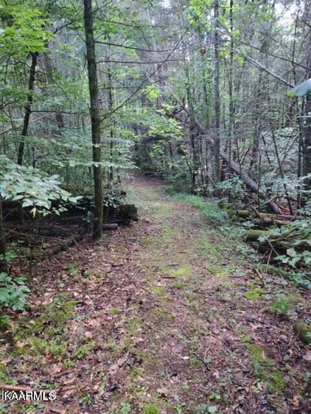 Photo of 145 Westwing Cave Rd, Townsend, TN 37882 (MLS # 1228920)