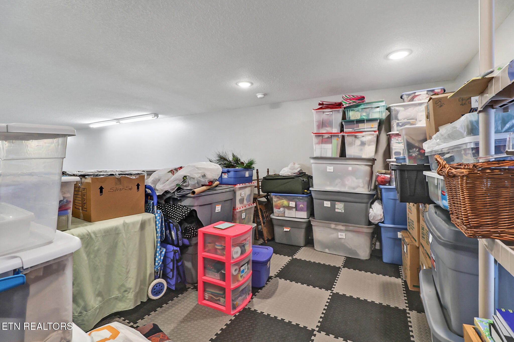 439 Holly Tree Drive