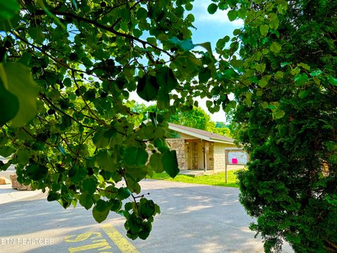 Tiny photo for 117 Highway 73, Townsend, TN 37882 (MLS # 1336751)