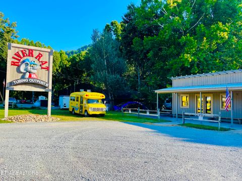 Tiny photo for 117 Highway 73, Townsend, TN 37882 (MLS # 1336751)