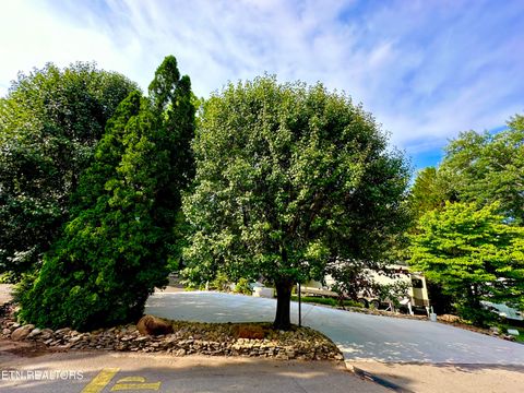 Tiny photo for 117 Highway 73, Townsend, TN 37882 (MLS # 1336751)