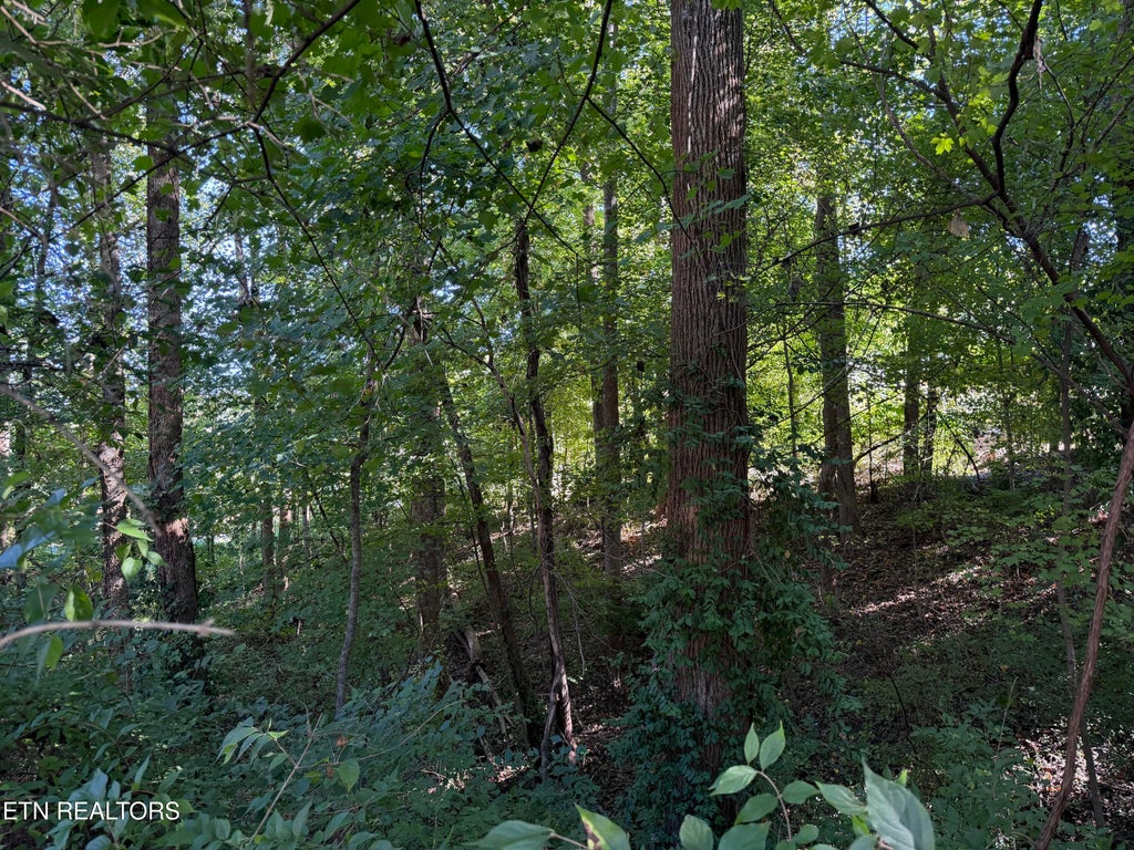 Photo of 0 Flint Rd, Knoxville, TN 37921 (MLS # 1359187)