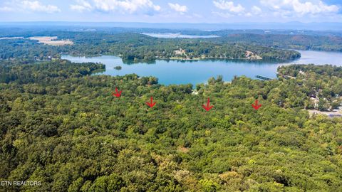 Photo of 4 Highway 304 /Lakeview Hills, Ten Mile, TN 37880 (MLS # 1319386)