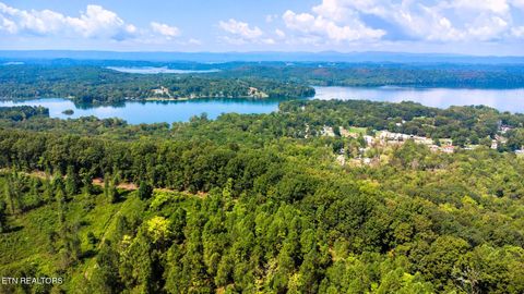 Tiny photo for 4 Highway 304 /Lakeview Hills, Ten Mile, TN 37880 (MLS # 1319386)