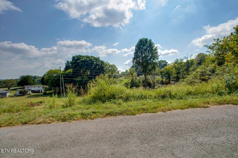 Tiny photo for 519 Sunflower Circle, Sweetwater, TN 37874 (MLS # 1355975)