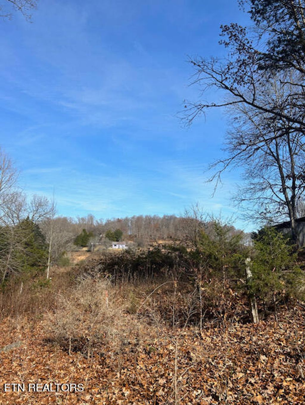 Photo of 246 Elm Rd, Tazewell, TN 37879 (MLS # 1246668)