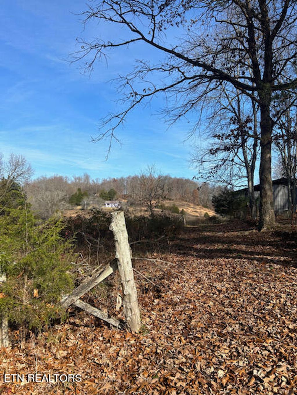 Photo of 246 Elm Rd, Tazewell, TN 37879 (MLS # 1246668)