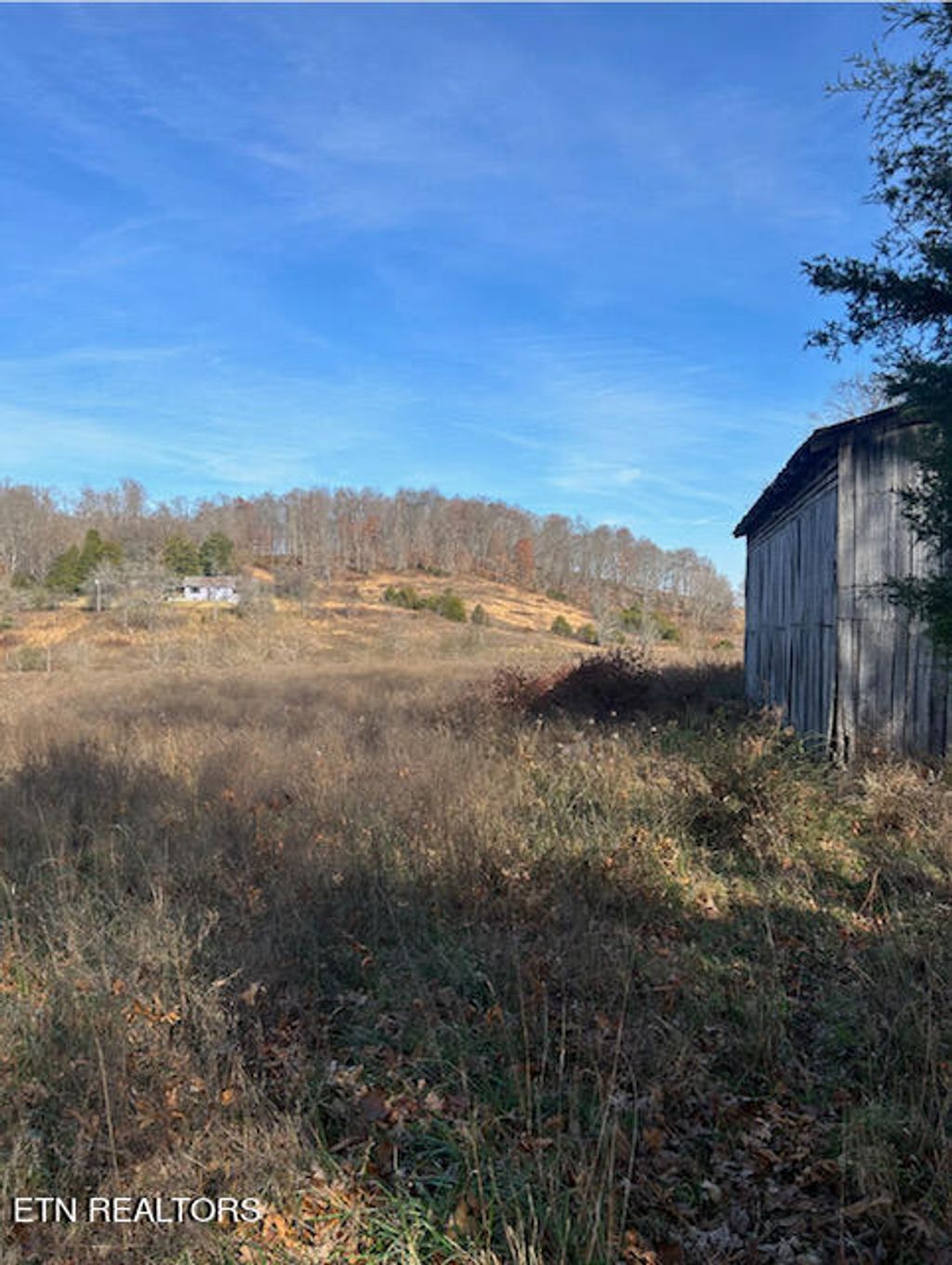 Photo of 246 Elm Rd, Tazewell, TN 37879 (MLS # 1246668)