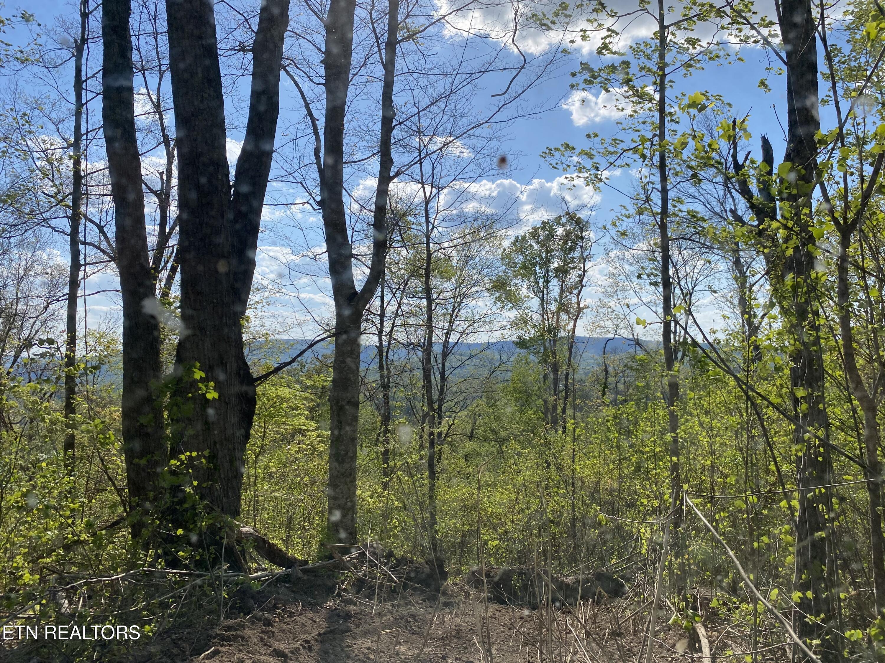 103 AC Harrison Ferry Rd