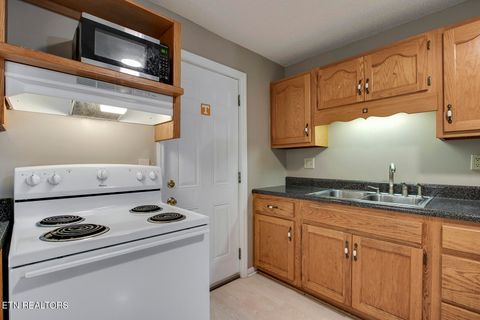 Tiny photo for 438 Kingwood St, Kingston, TN 37763 (MLS # 1341836)