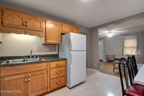 Tiny photo for 438 Kingwood St, Kingston, TN 37763 (MLS # 1341836)