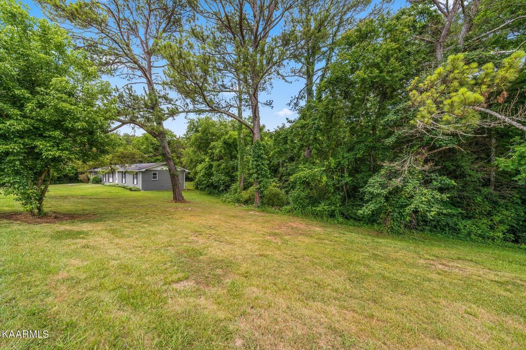 Photo of 10103 Ouida Lane, Strawberry Plains, TN 37871 (MLS # 1230236)