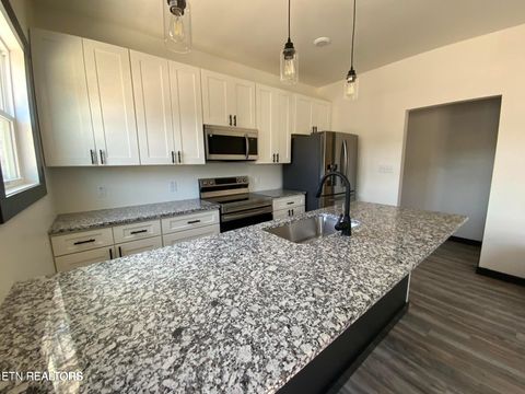 Tiny photo for 329 7Th St, Rocky Top, TN 37769 (MLS # 1326016)