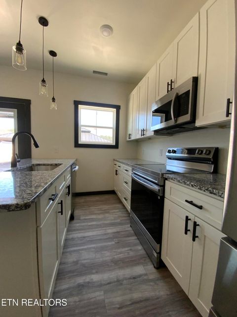 Tiny photo for 329 7Th St, Rocky Top, TN 37769 (MLS # 1326016)