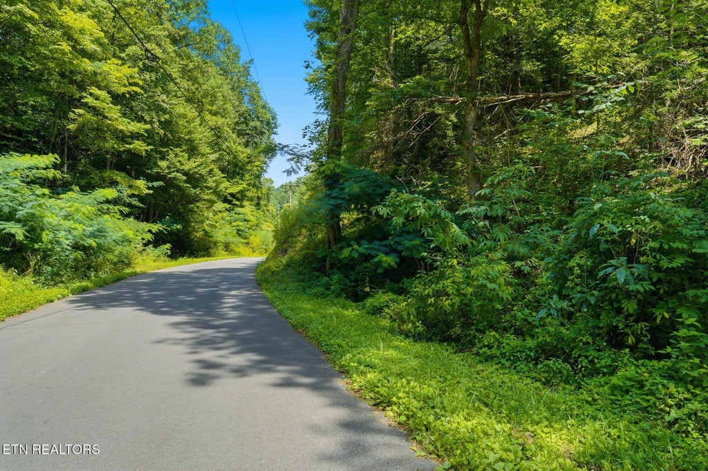 Photo of 2 Gnatty Branch Rd, Sevierville, TN 37876 (MLS # 1351121)
