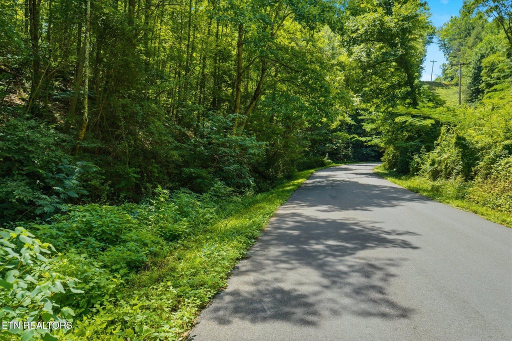 Photo of 2 Gnatty Branch Rd, Sevierville, TN 37876 (MLS # 1351121)
