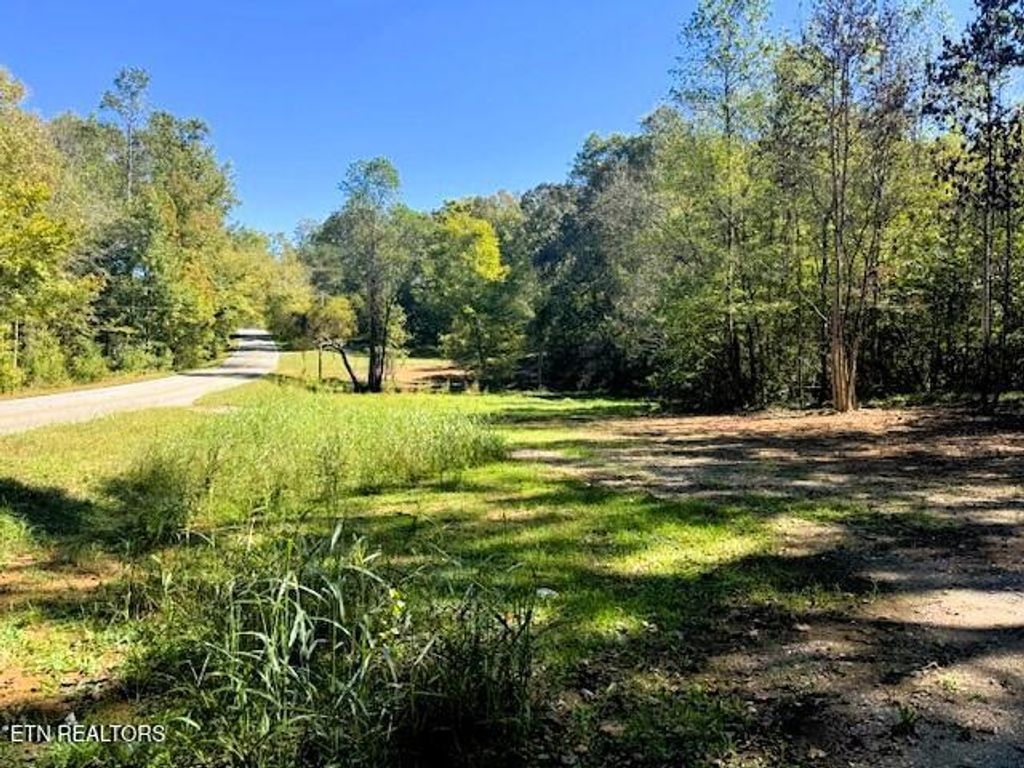 Photo of 10 Pleasant Hill Rd, Ten Mile, TN 37880 (MLS # 1334699)