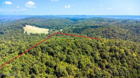 Tiny photo for 10 Pleasant Hill Rd, Ten Mile, TN 37880 (MLS # 1334699)