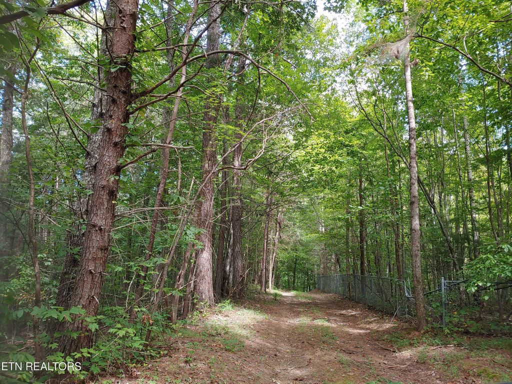 Photo of 287 Finger Board Rd, Tellico Plains, TN 37385 (MLS # 1297102)