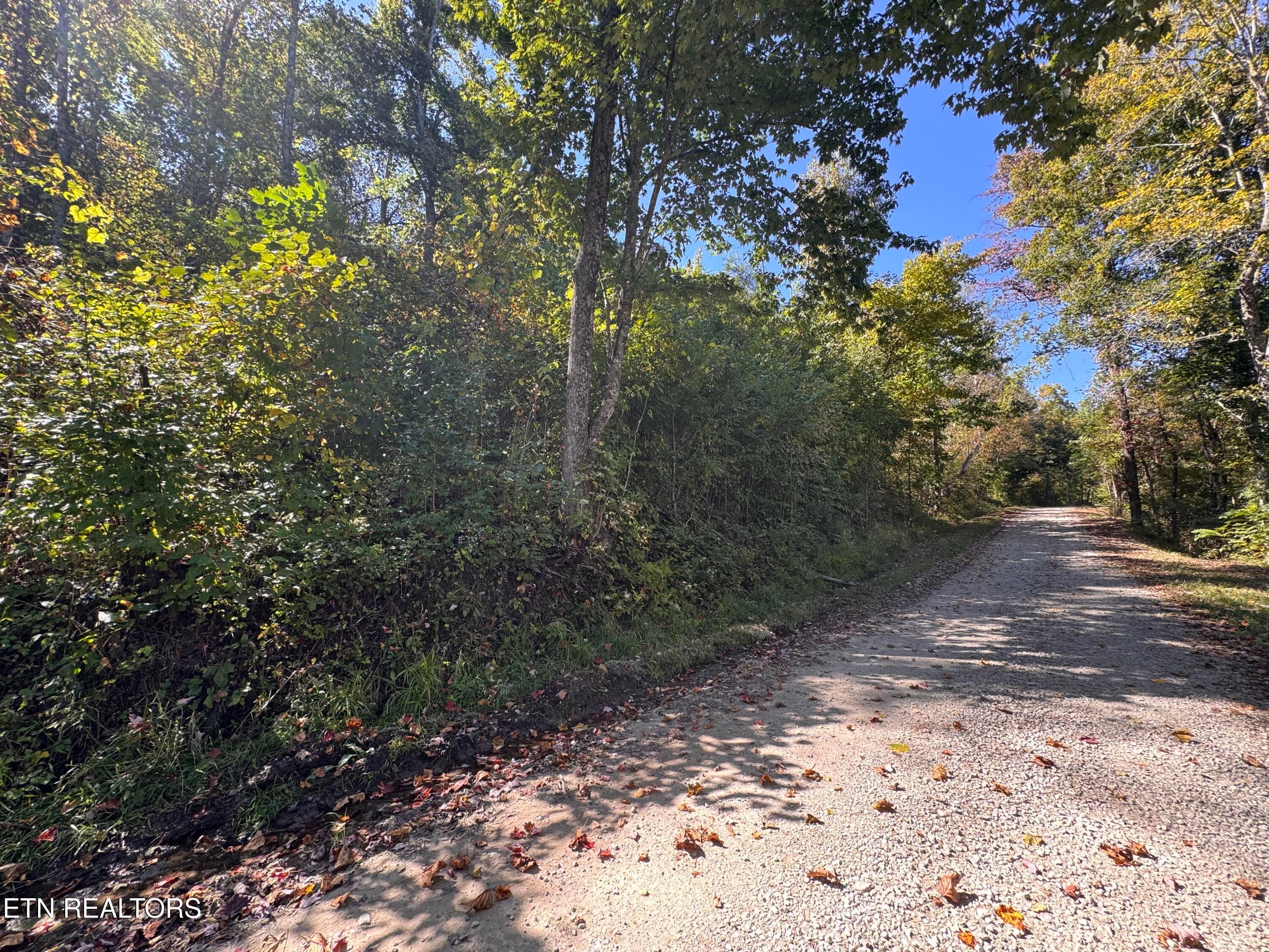 Roe Lane 009 005.03