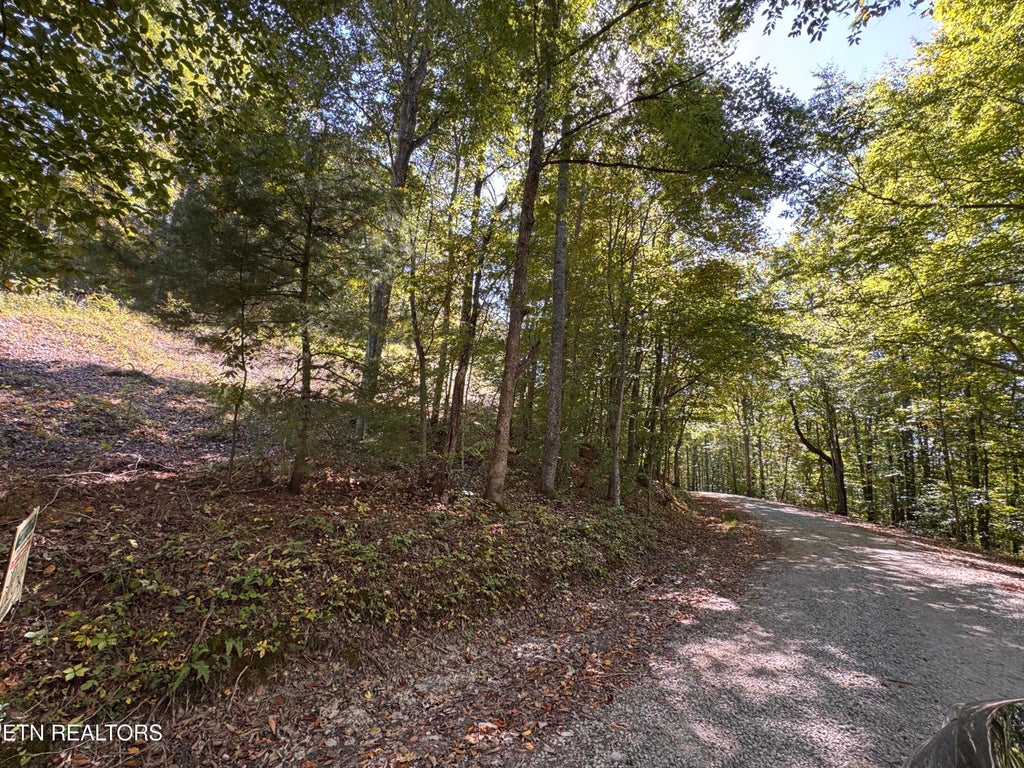 Photo of Roe Lane #009 005.03, Winfield, TN 37892 (MLS # 1358688)