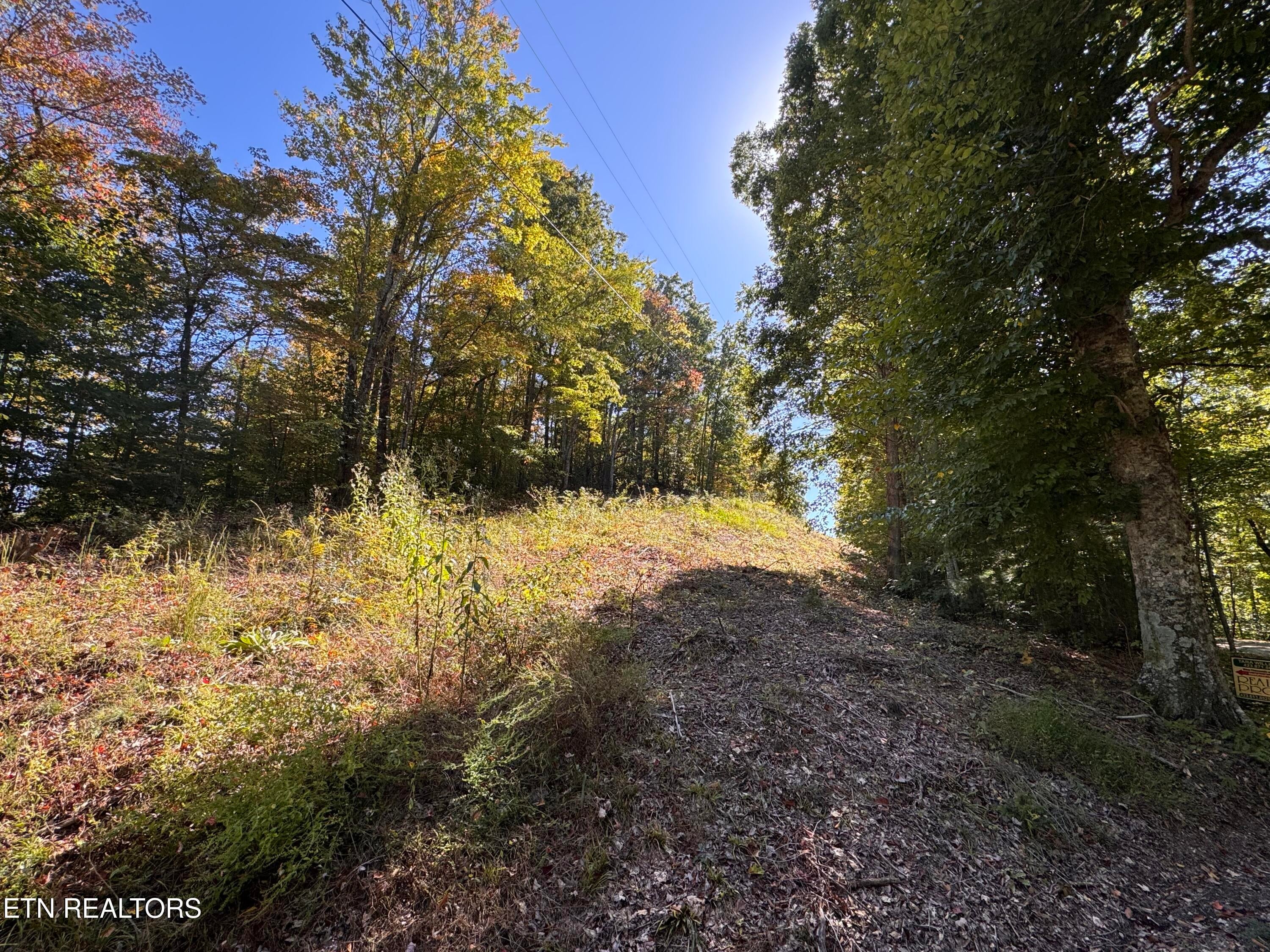Roe Lane 009 005.03