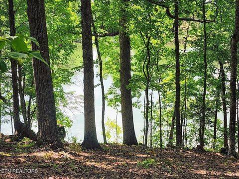 Tiny photo for 128 Hart Orchard Rd, Kingston, TN 37763 (MLS # 1326799)