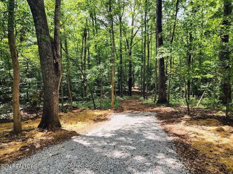 Tiny photo for 128 Hart Orchard Rd, Kingston, TN 37763 (MLS # 1326799)