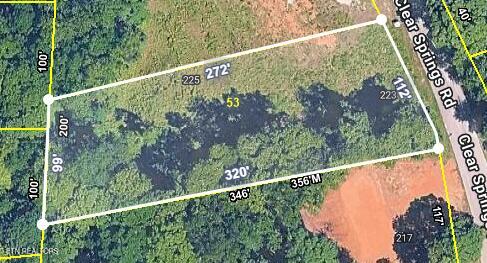 223 Clear Springs Rd - Photo 2