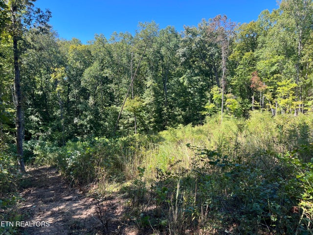 223 Clear Springs Rd