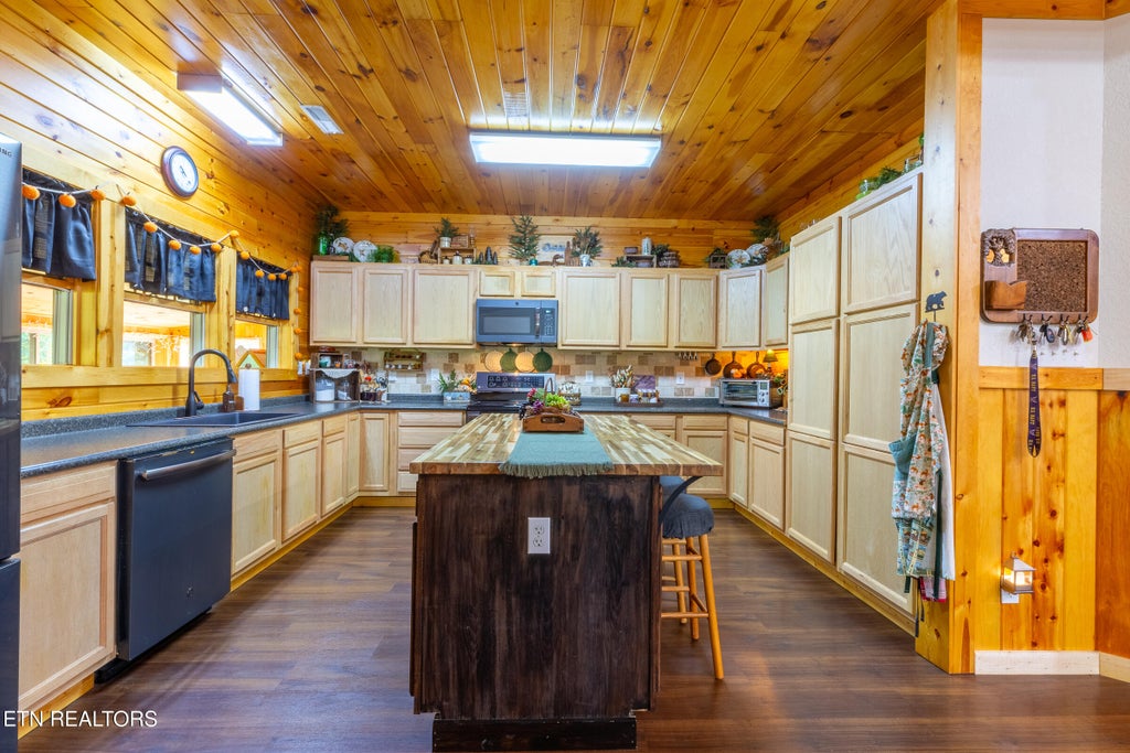 Photo of 1668 Deerwood Rd, Newport, TN 37821 (MLS # 1360040)