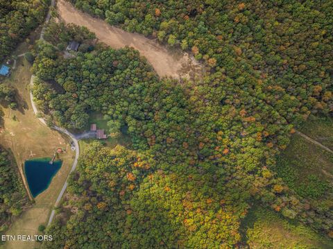 Tiny photo for 769 Christenson Rd, Deer Lodge, TN 37726 (MLS # 1318465)