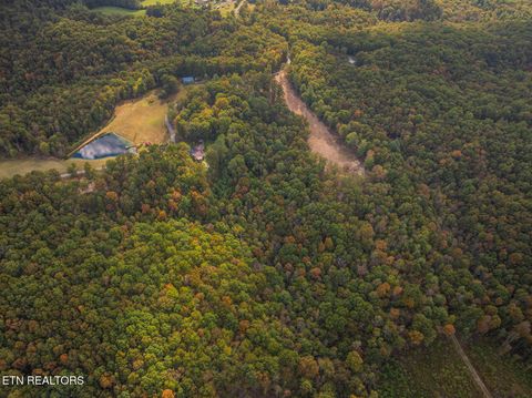 Tiny photo for 769 Christenson Rd, Deer Lodge, TN 37726 (MLS # 1318465)