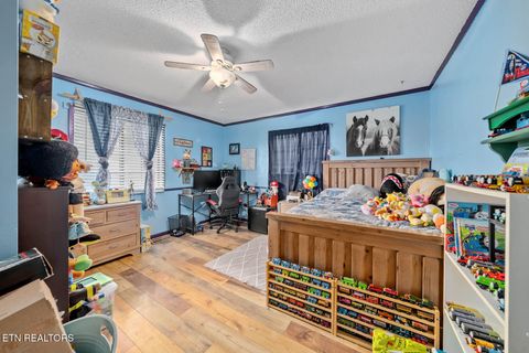 Tiny photo for 769 Christenson Rd, Deer Lodge, TN 37726 (MLS # 1318465)