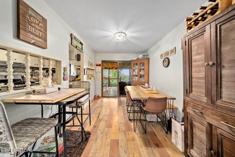 Tiny photo for 769 Christenson Rd, Deer Lodge, TN 37726 (MLS # 1318465)