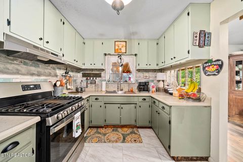 Tiny photo for 769 Christenson Rd, Deer Lodge, TN 37726 (MLS # 1318465)