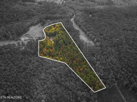 Tiny photo for 769 Christenson Rd, Deer Lodge, TN 37726 (MLS # 1318465)