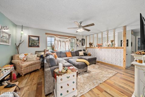 Tiny photo for 769 Christenson Rd, Deer Lodge, TN 37726 (MLS # 1318465)